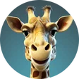 miguelito_slots
